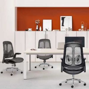 Ghế công thái học POP - D02
